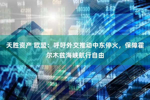 天胜资产 欧盟：呼吁外交推动中东停火，保障霍尔木兹海峡航行自由